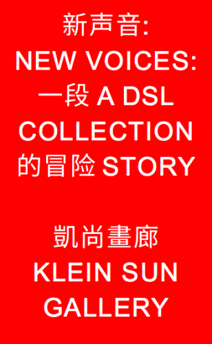 New voices: a dslcollection story